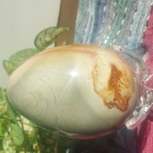 Polychrome Jasper Egg
